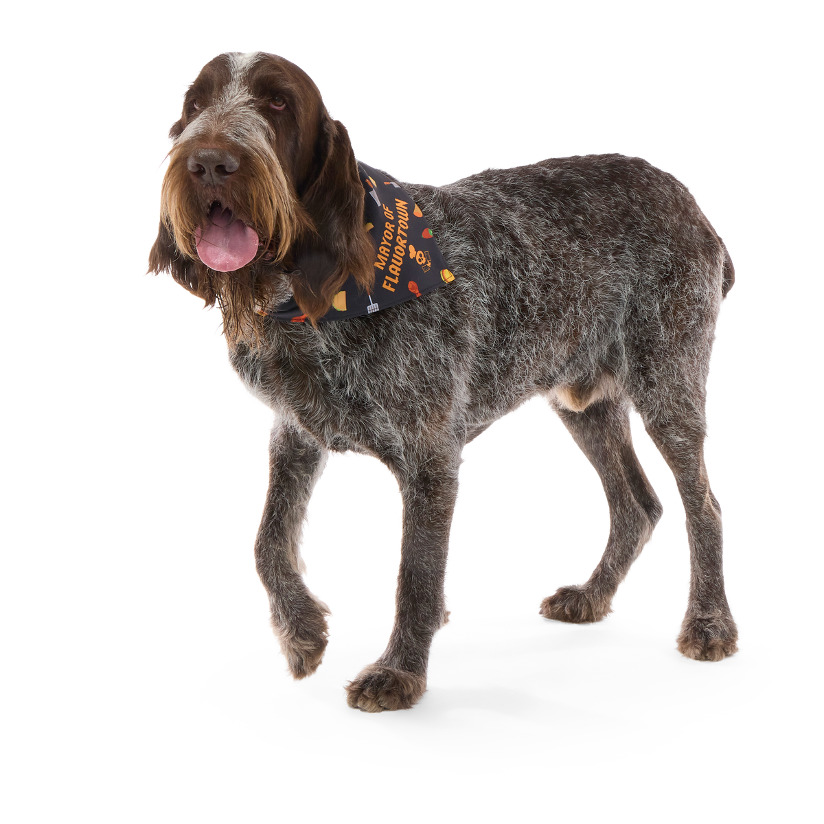 Flavortown™ Dog Bandana