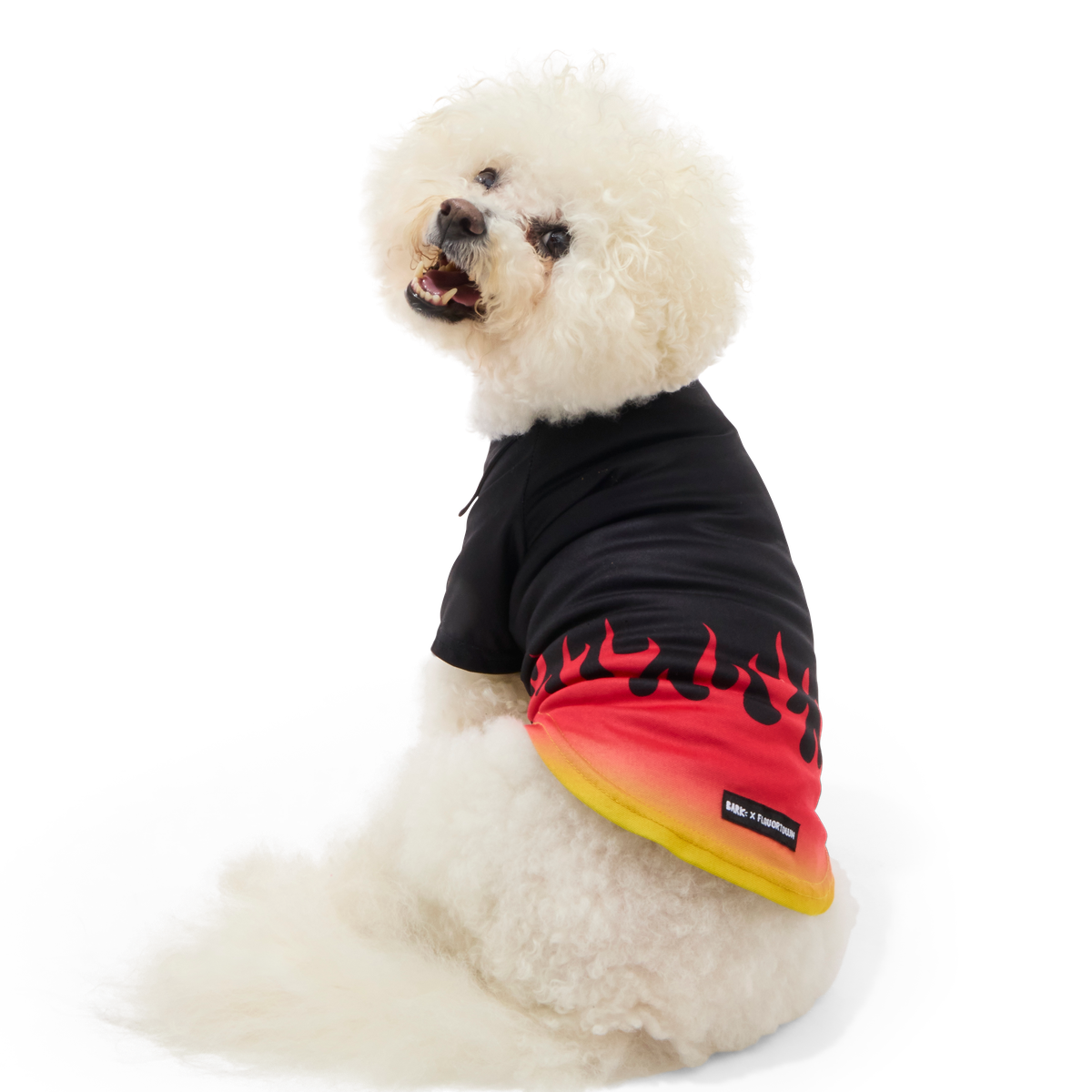 Flame Broiled Button-Down Dog Shirt#Size_S