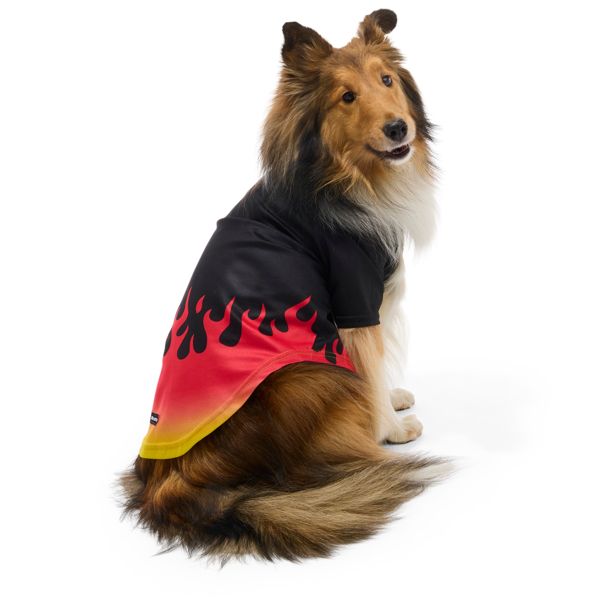 Flame Broiled Button-Down Dog Shirt#Size_M