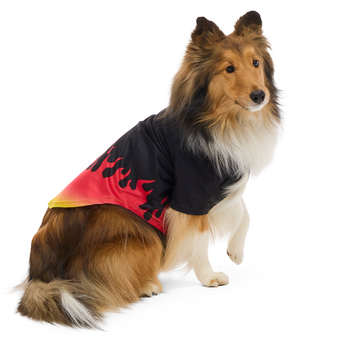 Flame Broiled Button-Down Dog Shirt#Size_M