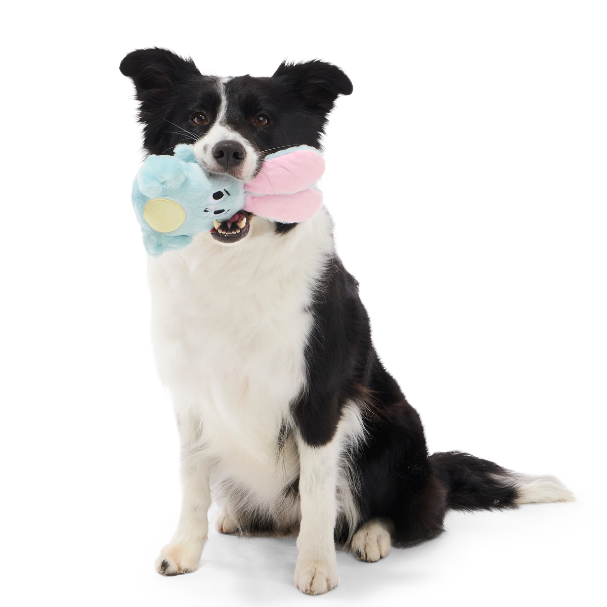 Eavesdropper Evie Plush Tug Dog Toy