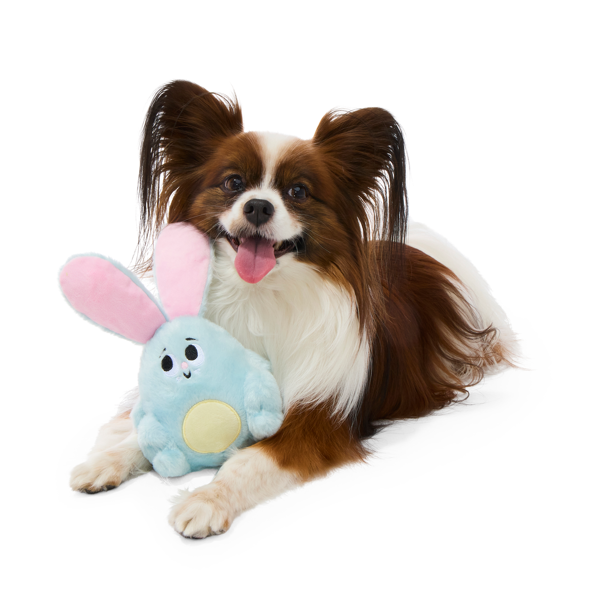 Eavesdropper Evie Plush Tug Dog Toy