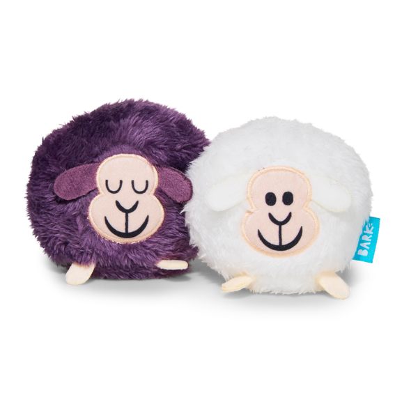 Good Sheep, Baa Sheep Plush Multi-Part Fetch Dog Toy – BARK