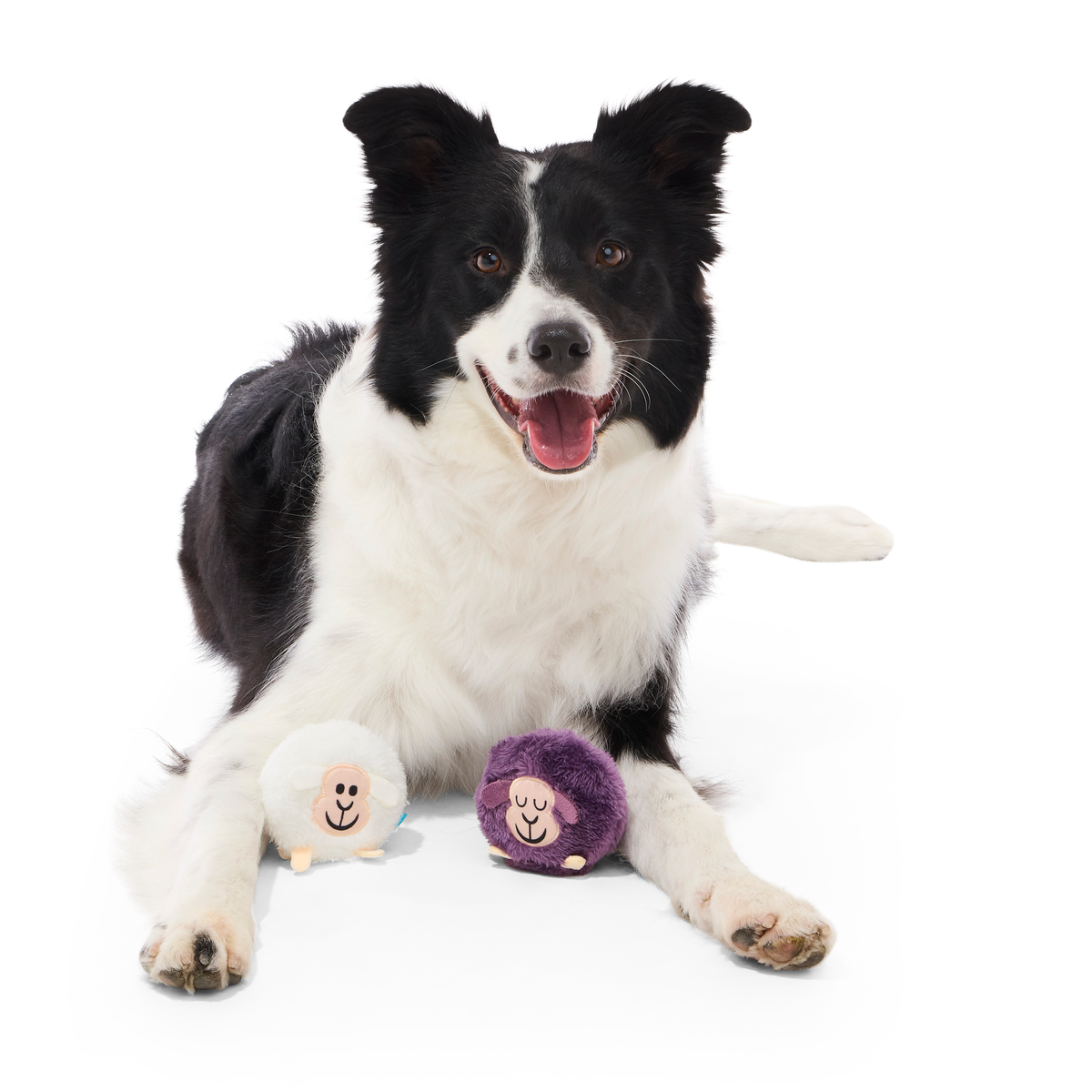 Good Sheep, Baa Sheep Plush Multi-Part Fetch Dog Toy