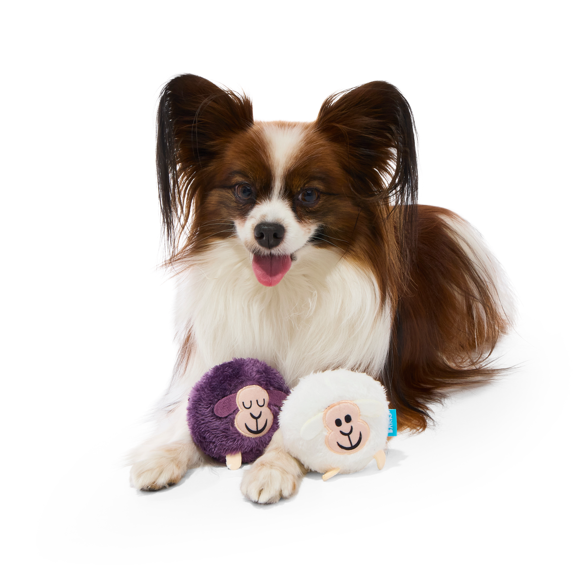 Good Sheep, Baa Sheep Plush Multi-Part Fetch Dog Toy