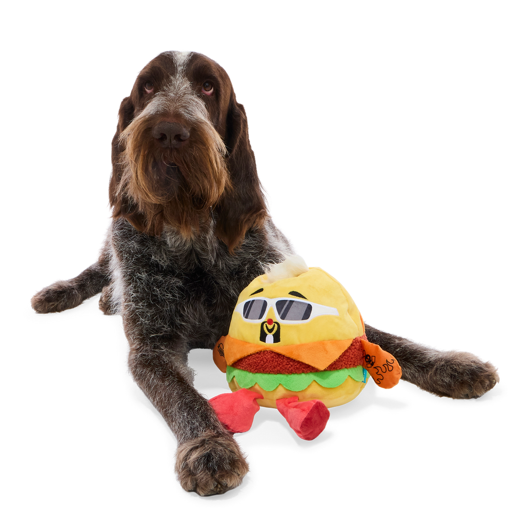 Flame-Grilled Fieri Plush Extra-Large + Tug Dog Toy – BARK