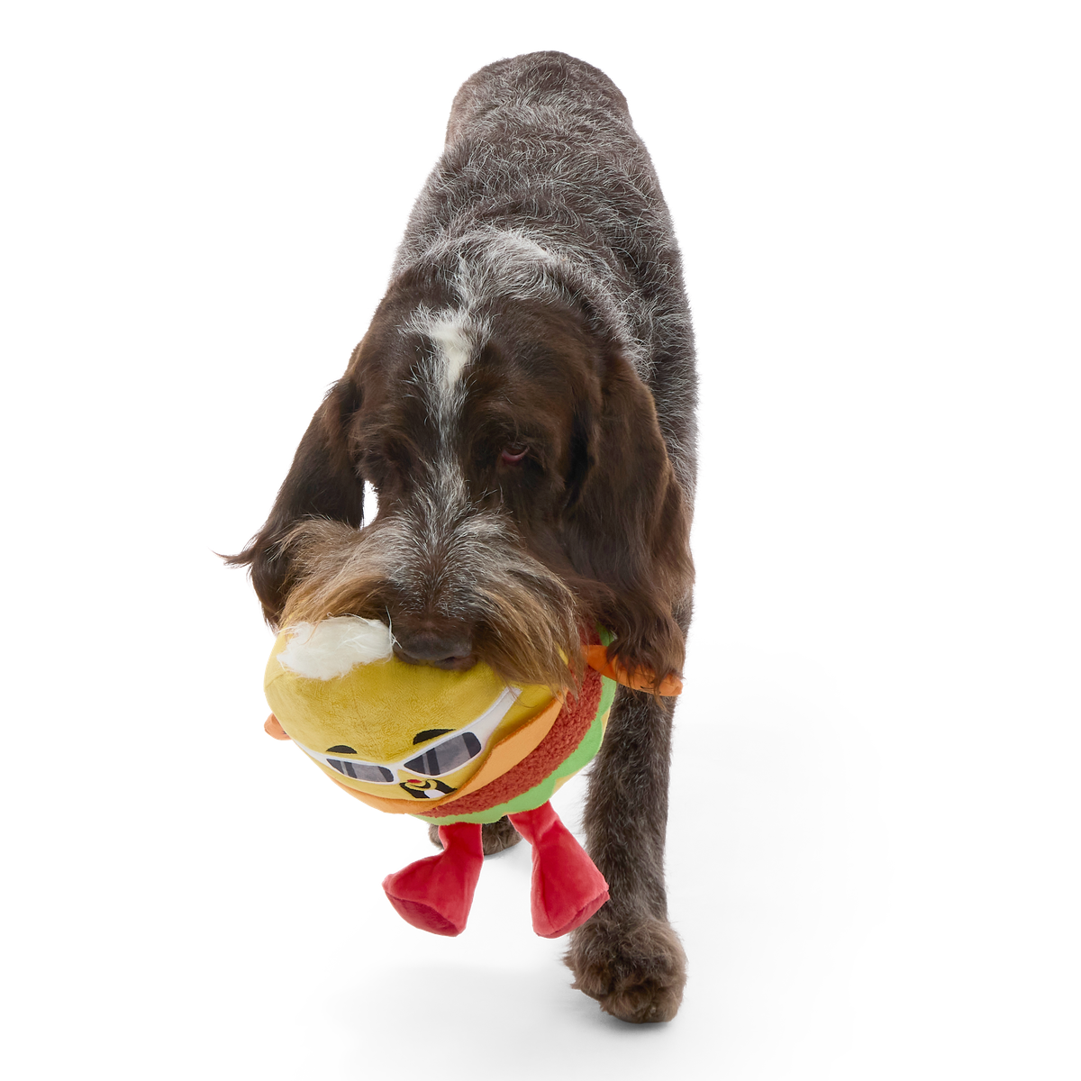 Flame-Grilled Fieri Plush Extra-Large + Tug Dog Toy