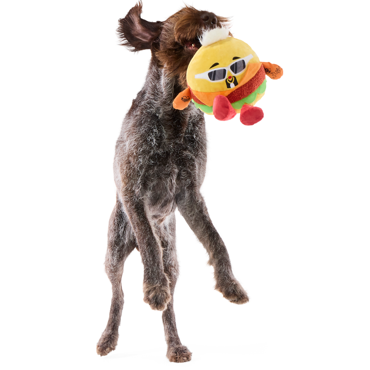 Flame-Grilled Fieri Plush Extra-Large + Tug Dog Toy