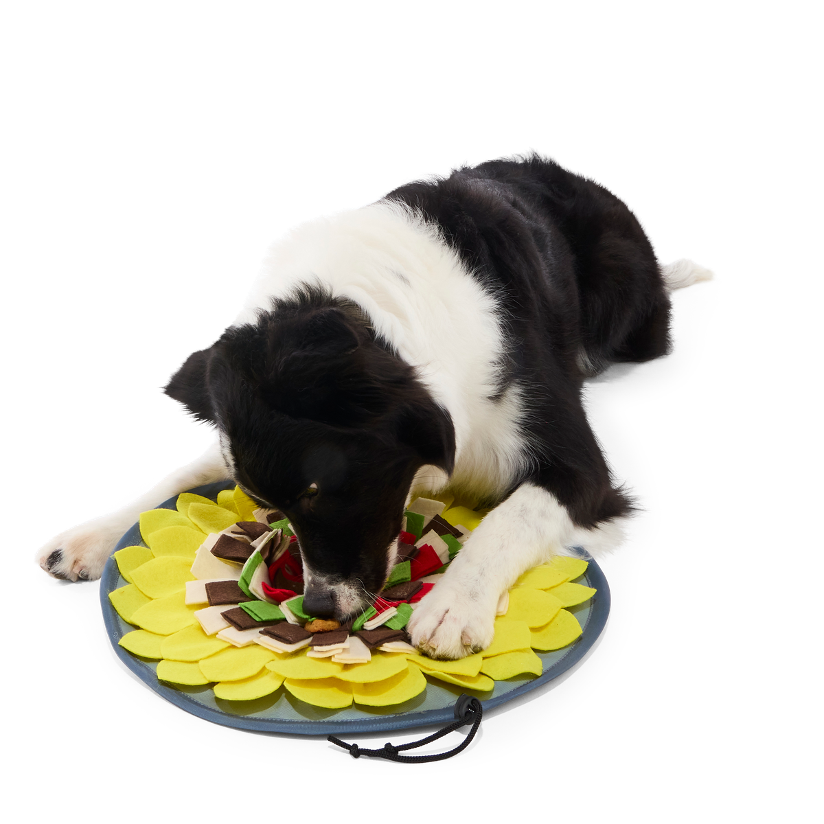 Nacho Dog's Snuffle Mat Plush Enrichment Dog Toy