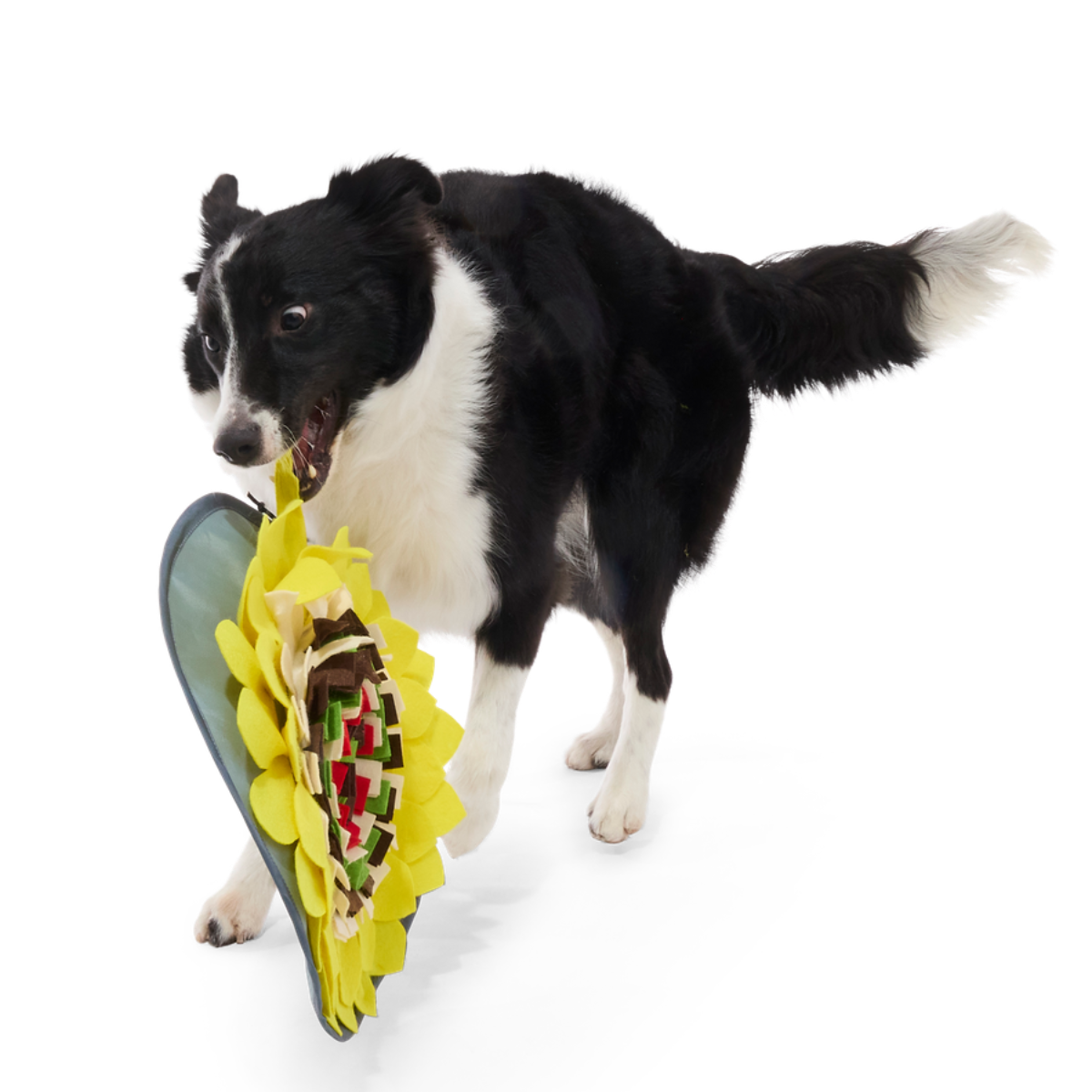 Nacho Dog's Snuffle Mat Plush Enrichment Dog Toy
