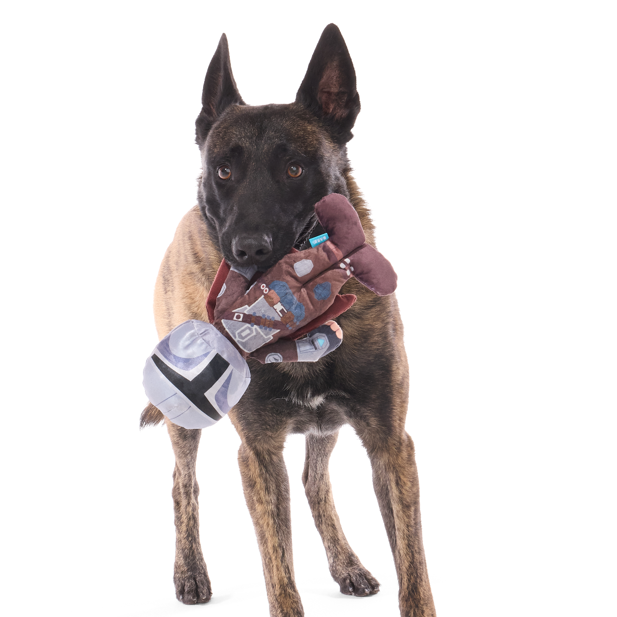 Din Djarin™ Plush Tug Dog Toy