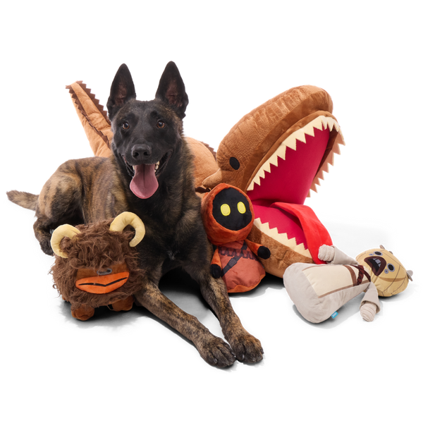 BOX_218518_KRAYT-DRAGON-