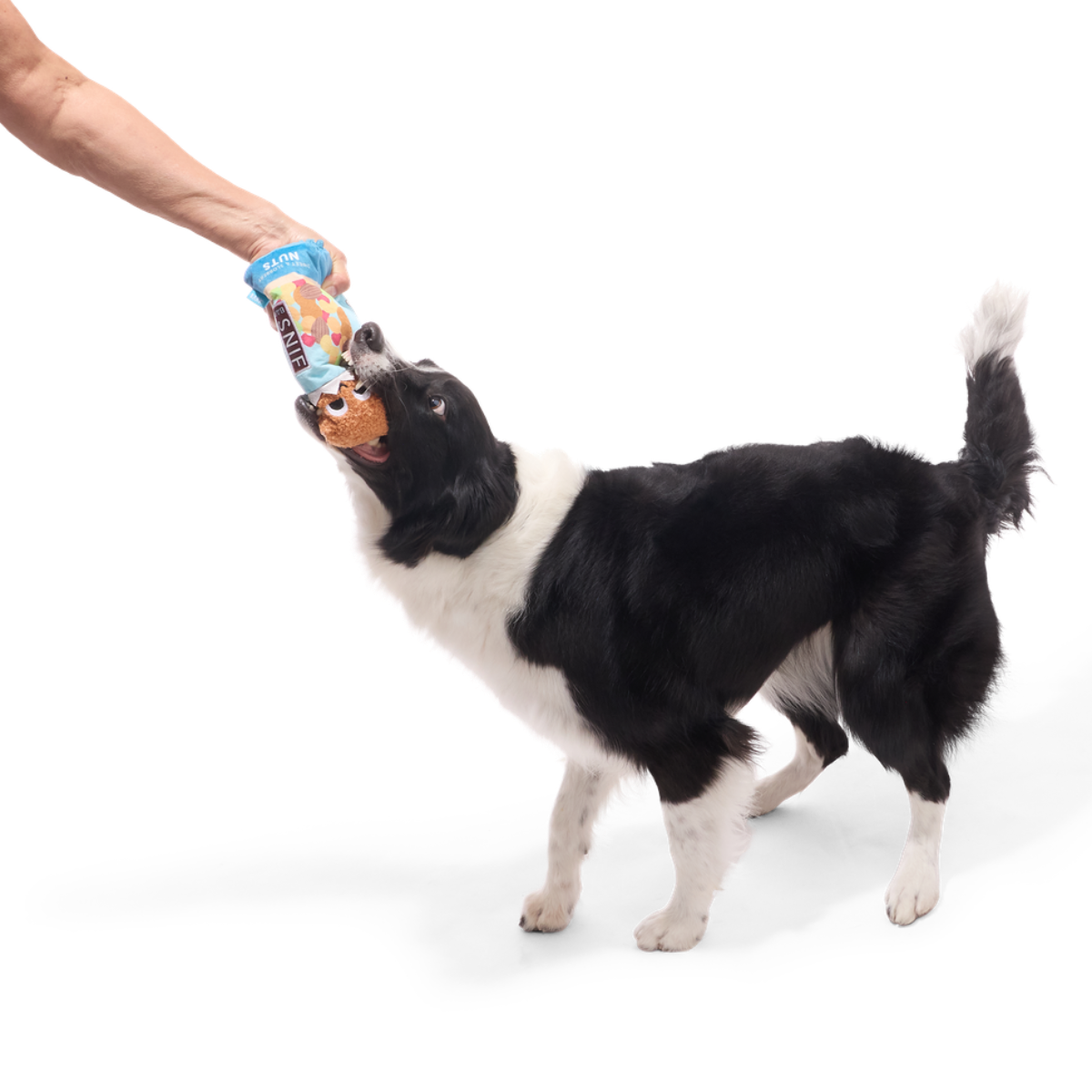 Sniff Bar Plush Tug Dog Toy