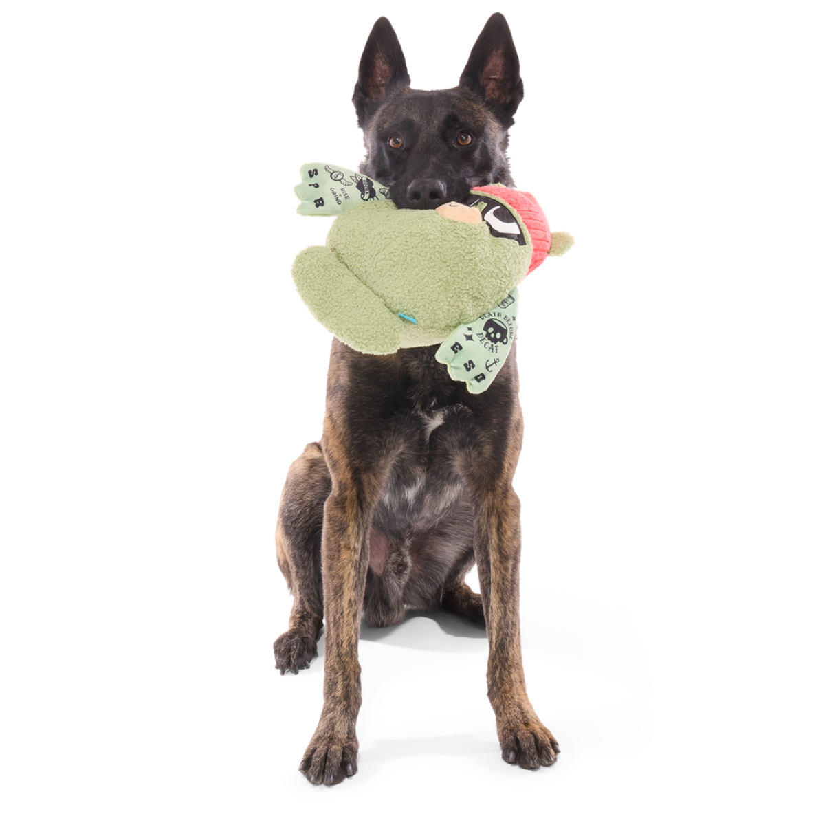 Bearista Plush Extra-Large Tug Dog Toy