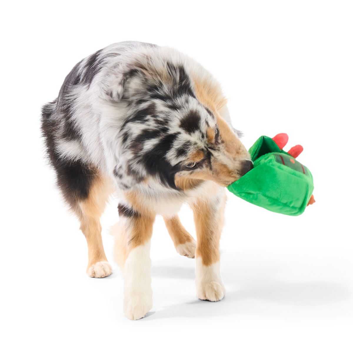 PNW Barkpack Plush Multi-Part + Enrichment Dog Toy