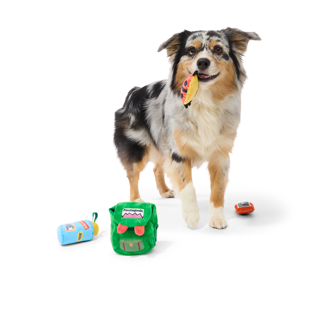 PNW Barkpack Plush Multi-Part + Enrichment Dog Toy