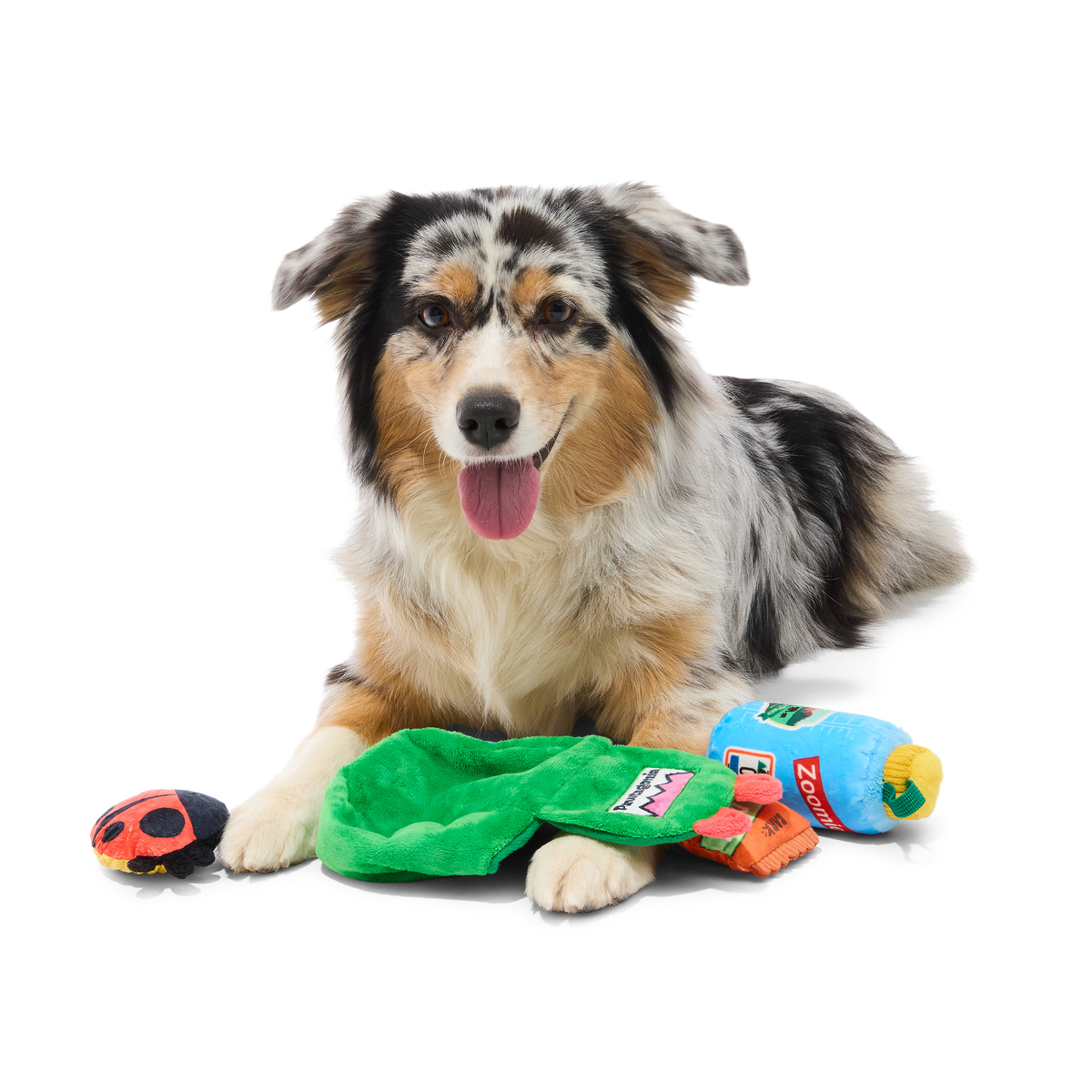 PNW Barkpack Plush Multi-Part + Enrichment Dog Toy