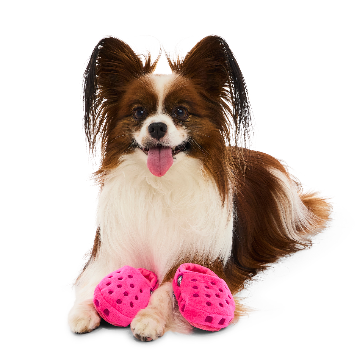 Lapdog Clogs Plush Multi-Part + Enrichment Dog Toy