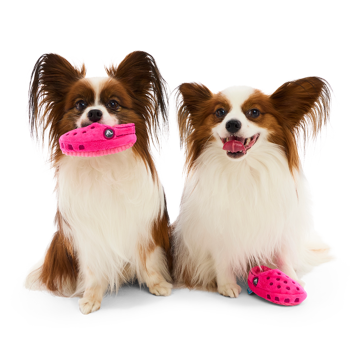 Lapdog Clogs Plush Multi-Part + Enrichment Dog Toy
