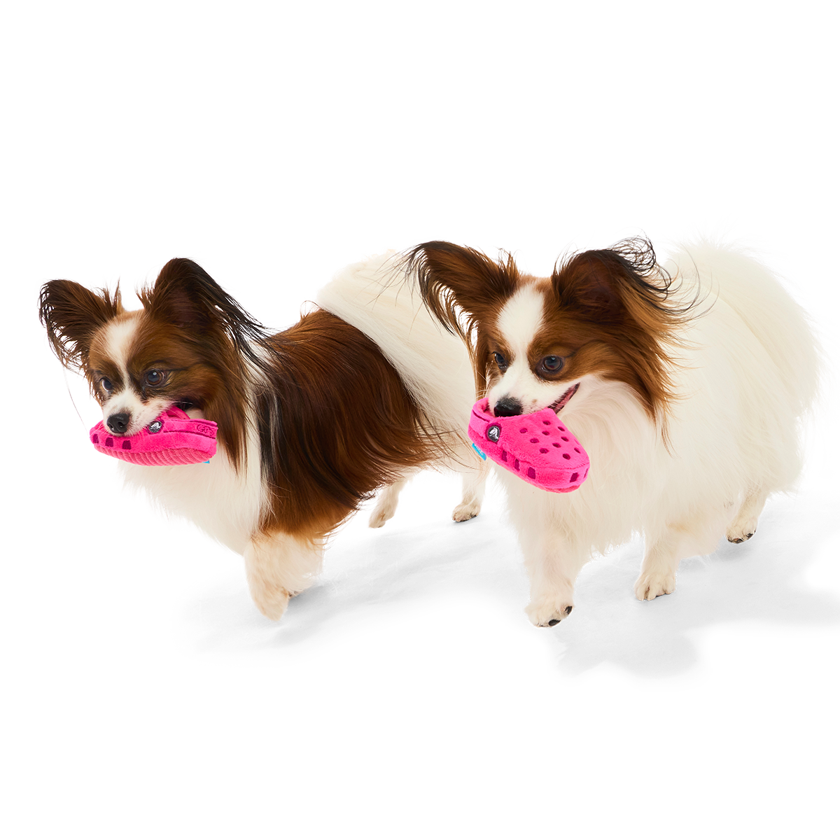 Lapdog Clogs Plush Multi-Part + Enrichment Dog Toy