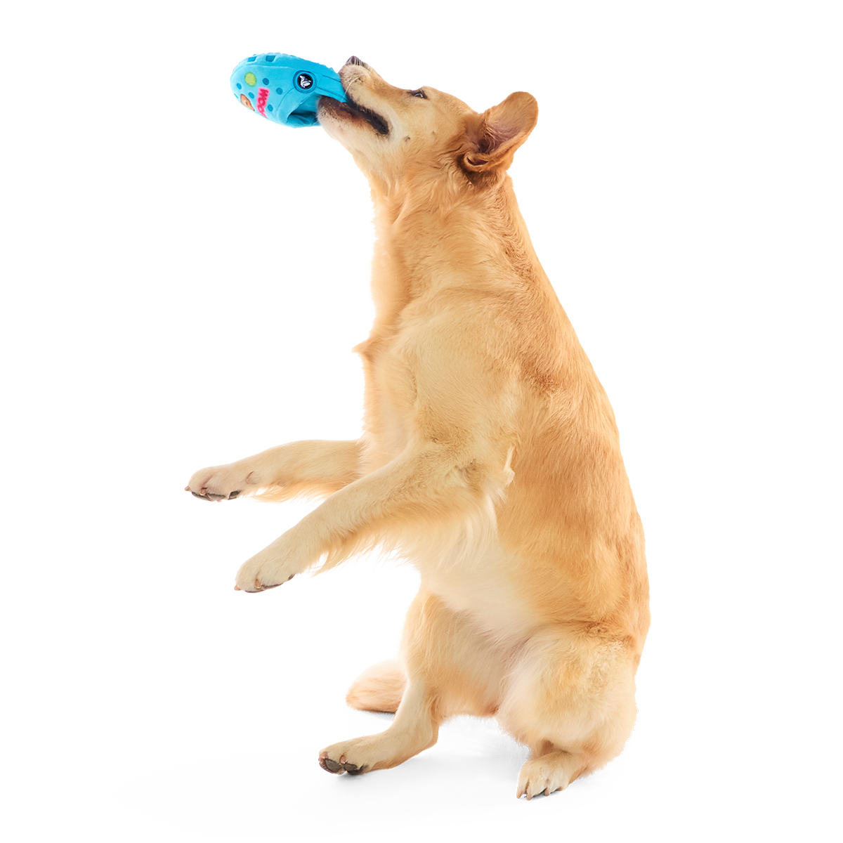 Step In It Plush 2-in-1 Dog Toy