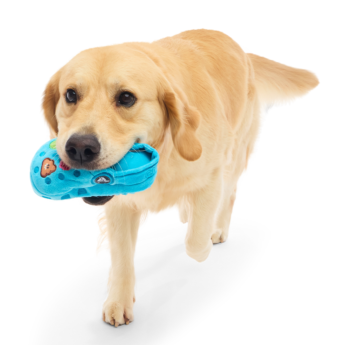 Step In It Plush 2-in-1 Dog Toy