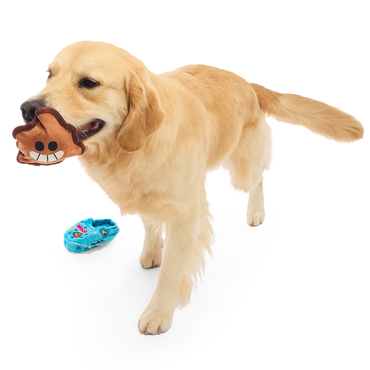 Step In It Plush 2-in-1 Dog Toy