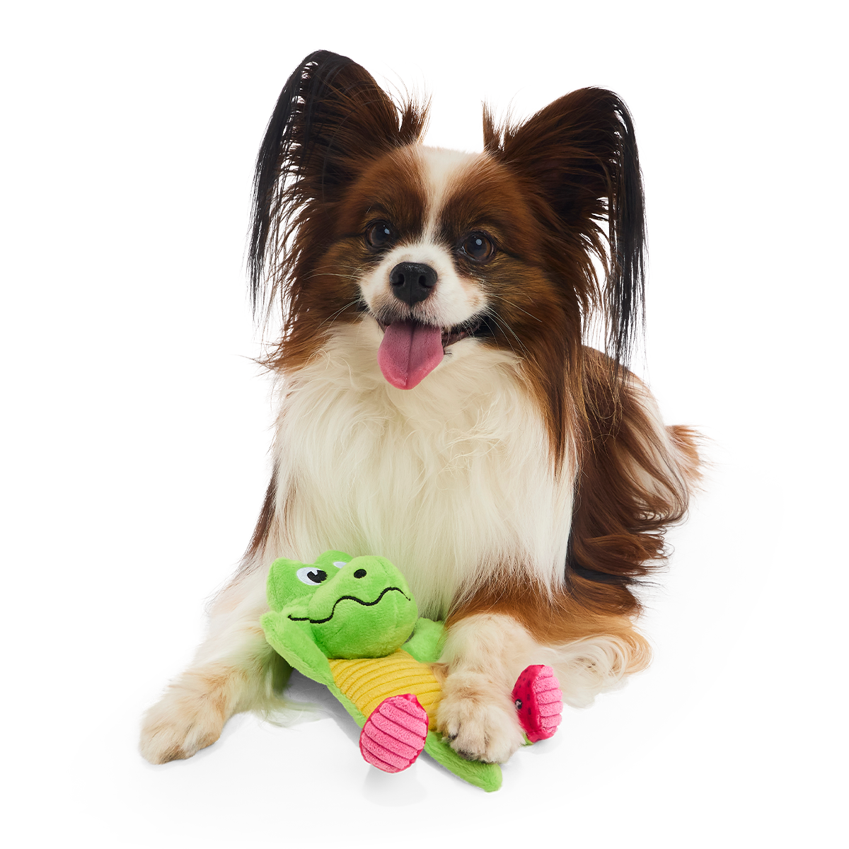Duke Plush Tug Dog Toy