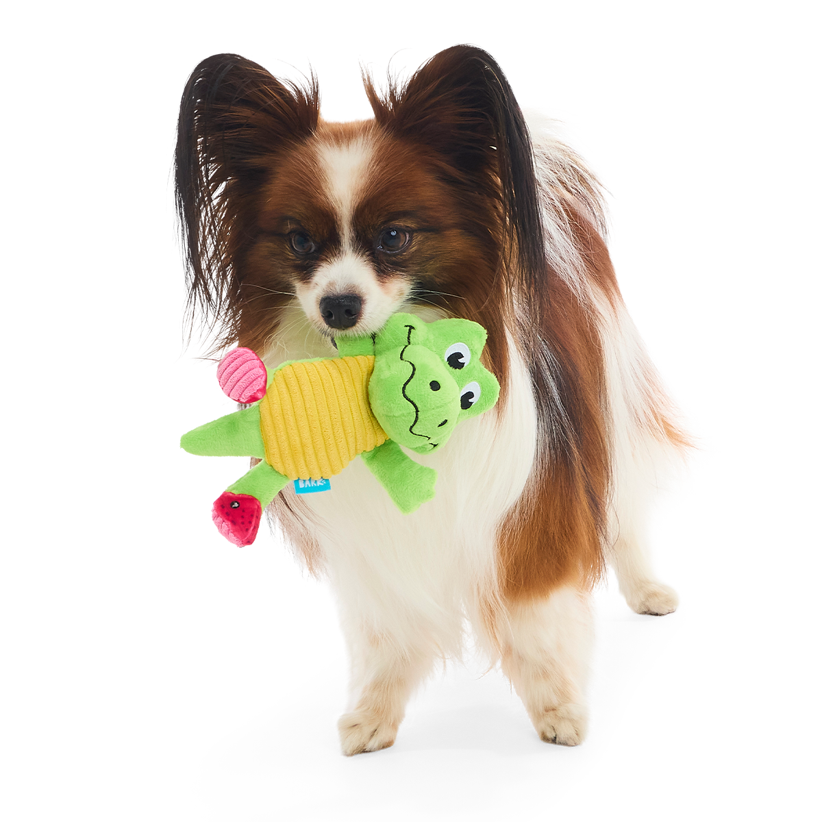 Duke Plush Tug Dog Toy