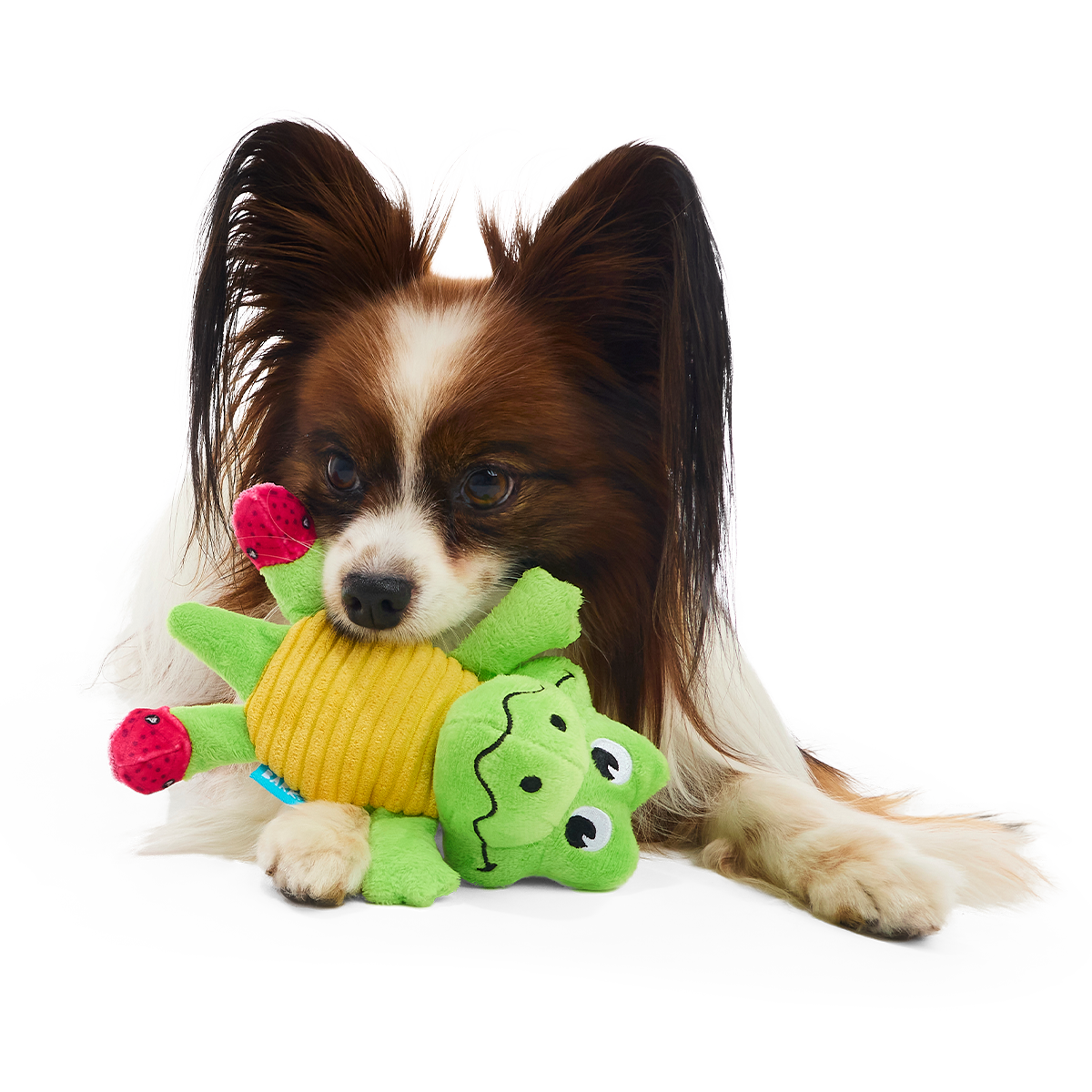 Duke Plush Tug Dog Toy