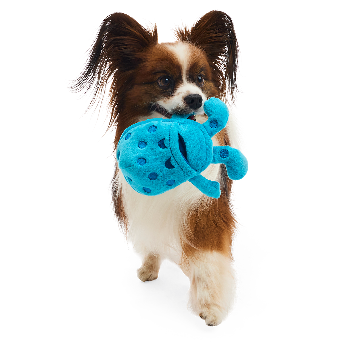 Croslite Guy Plush Tug + Enrichment Dog Toy