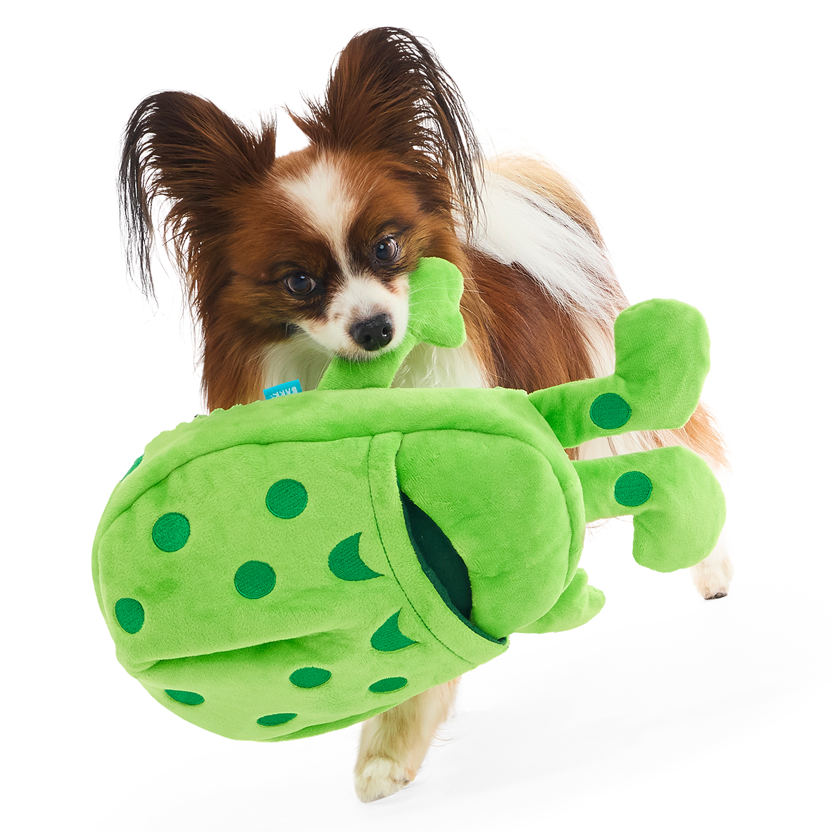 Croslite Guy Plush Extra-Large + Tug + Enrichment Dog Toy