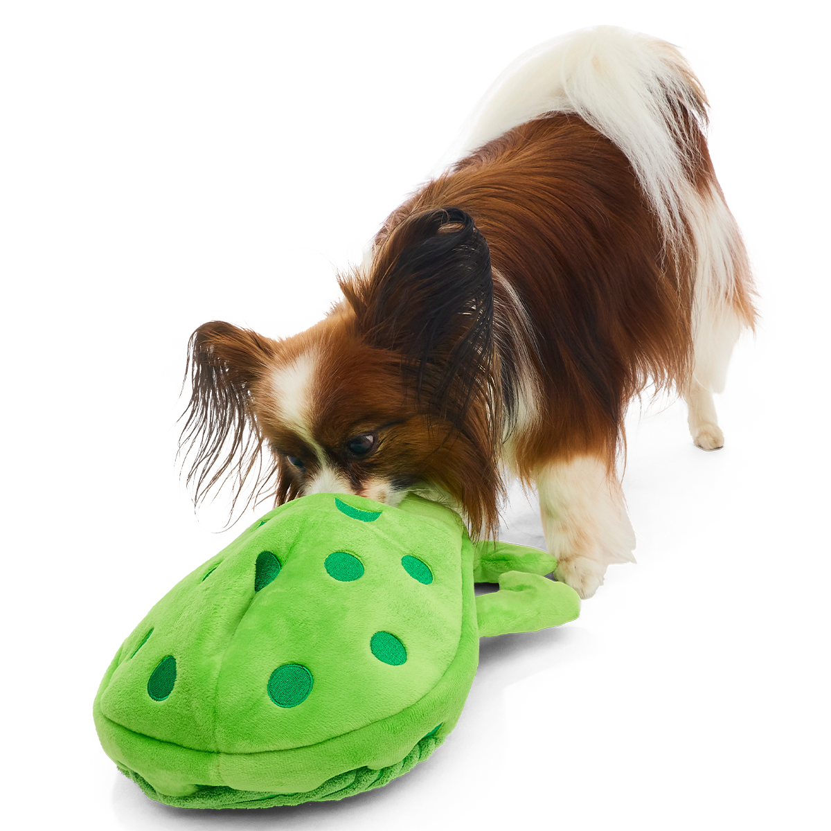 Croslite Guy Plush Extra-Large + Tug + Enrichment Dog Toy