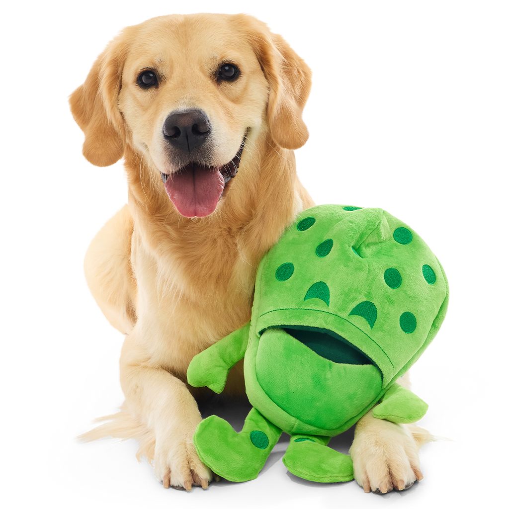 Croslite Guy Plush Extra-Large + Tug + Enrichment Dog Toy