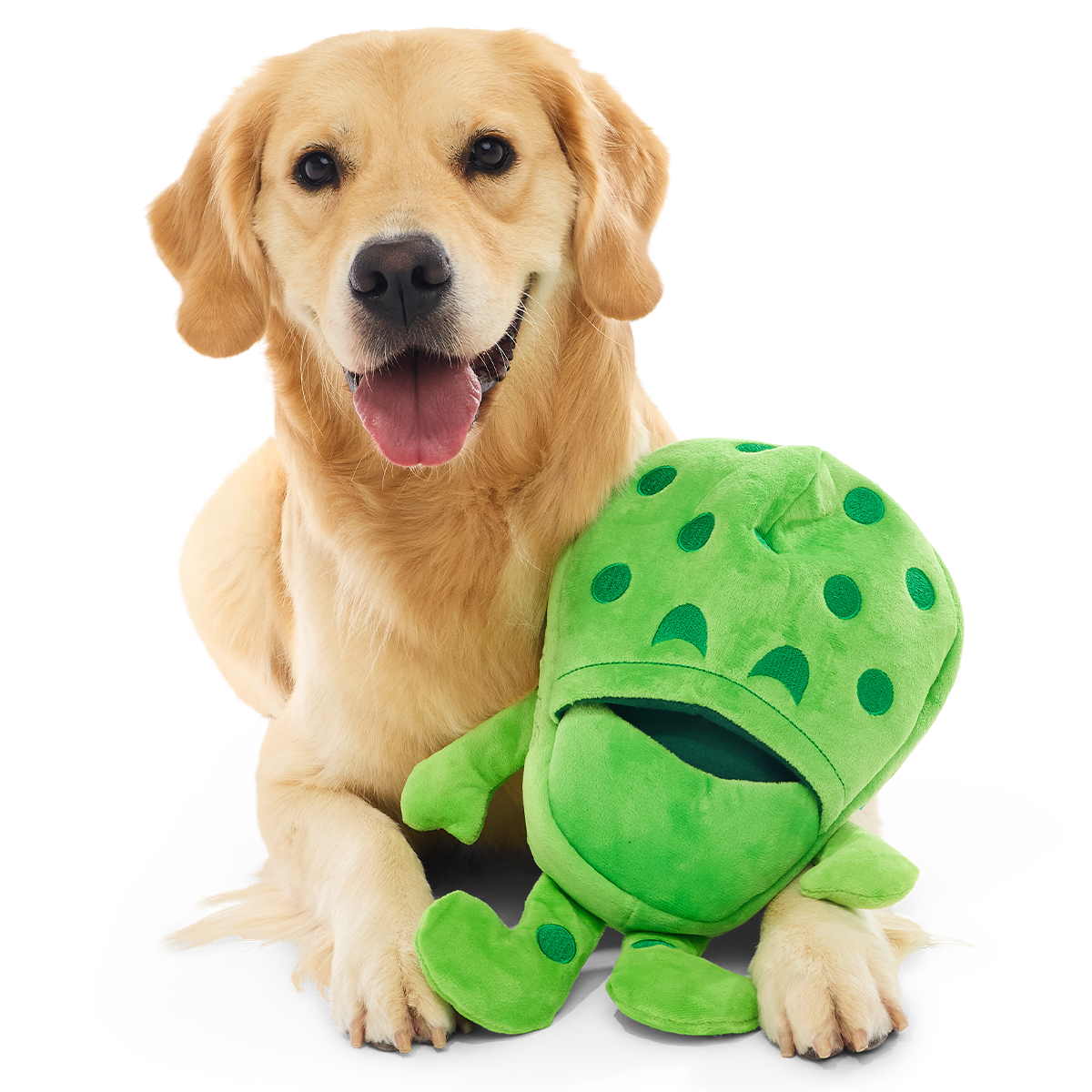 Croslite Guy Plush Extra-Large + Tug + Enrichment Dog Toy