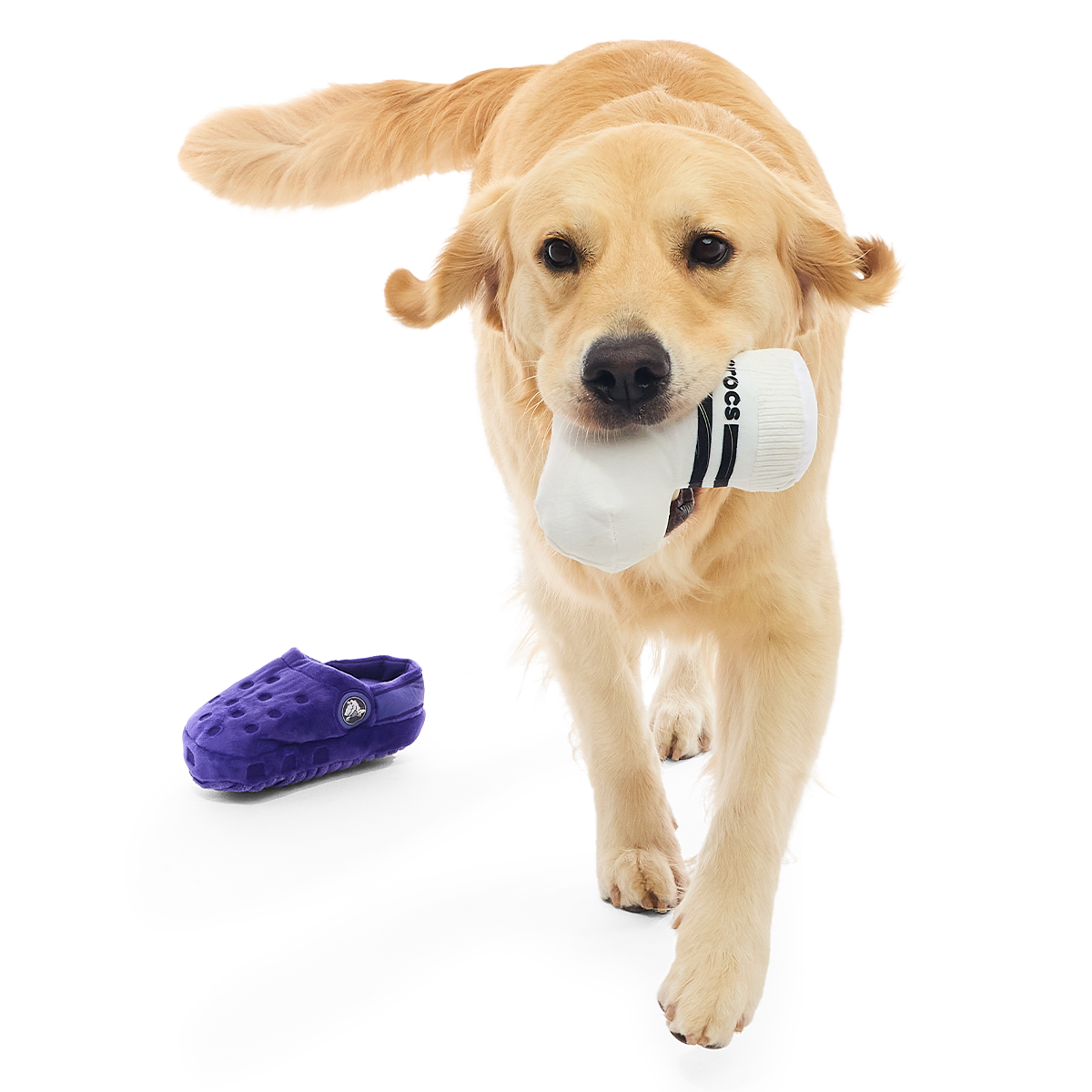 Rock Your Socks Plush Multi-Part + Enrichment Dog Toy