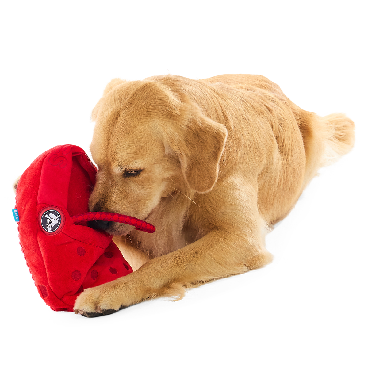 Classic K9 Clog Plush Extra-Large + Tug + Enrichment Dog Toy