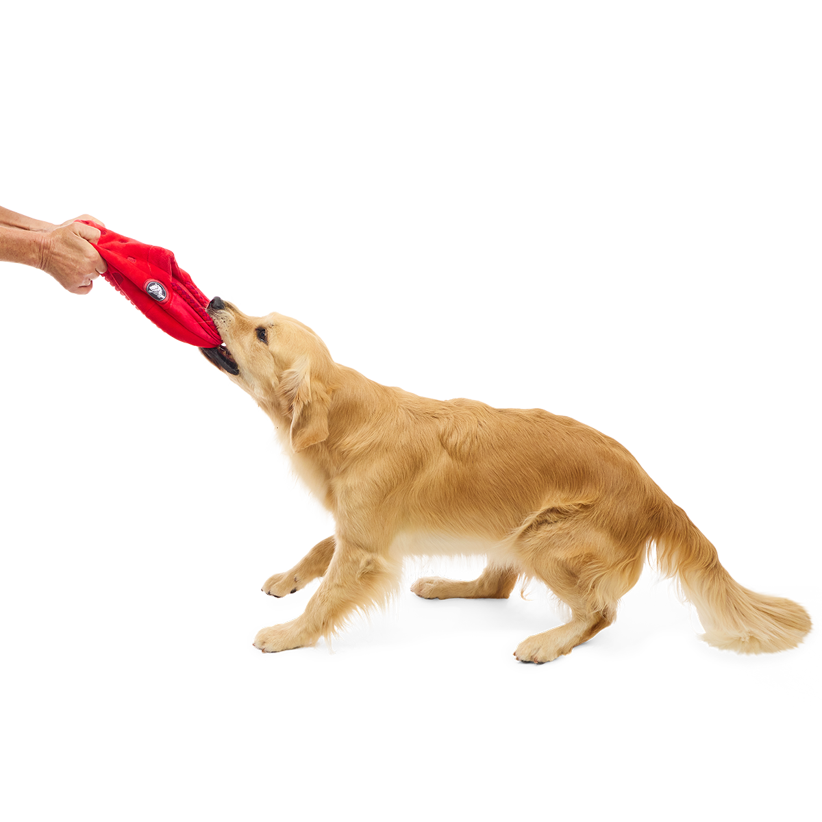 Classic K9 Clog Plush Extra-Large + Tug + Enrichment Dog Toy