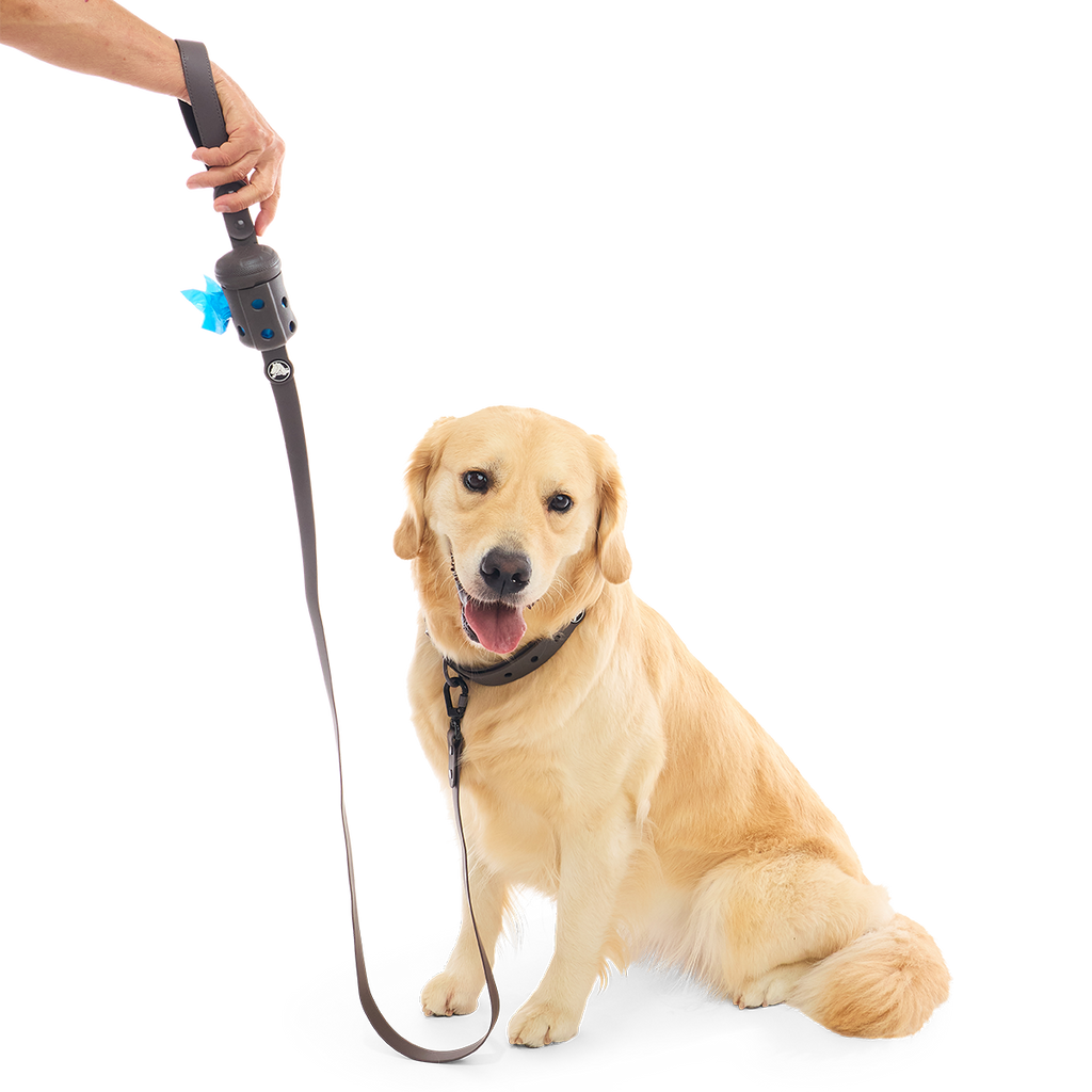 Crocs™ for Dogs Walking Gear Bundle, Espresso
