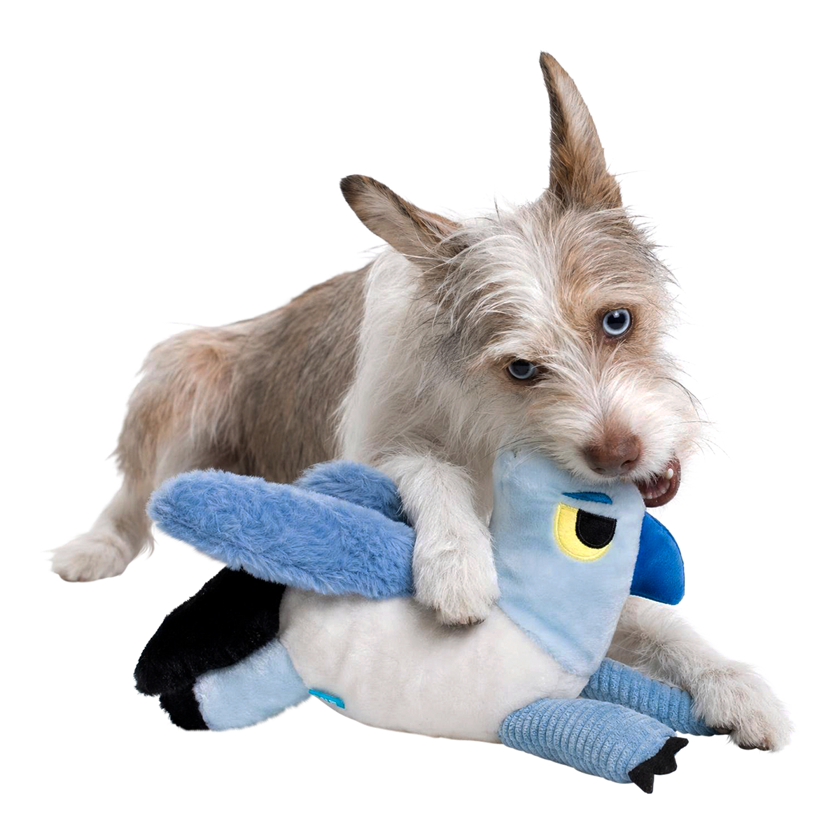 High-Flying Buckbeak™ Plush Tug Dog Toy