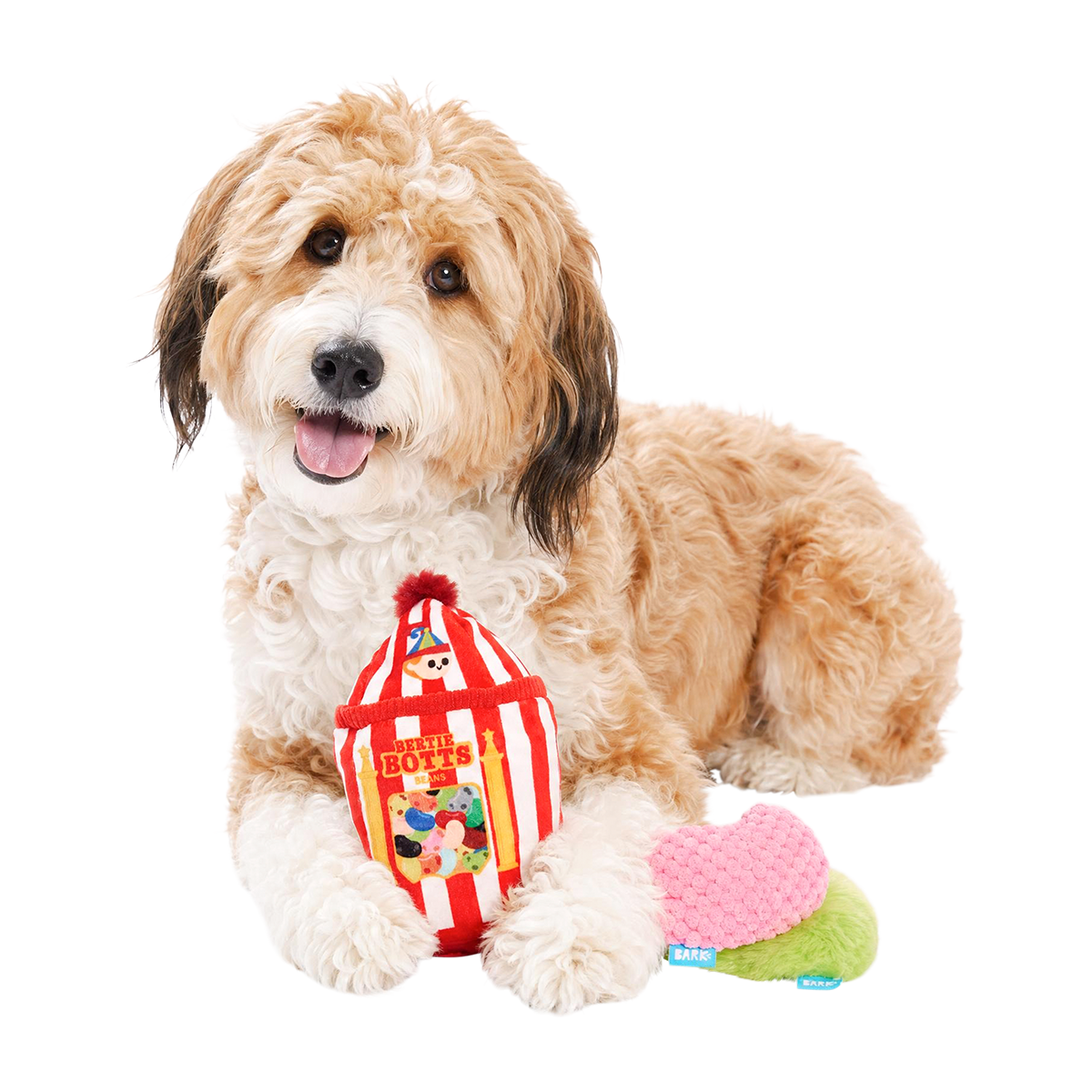 Bertie Bott's Every Flavor Beans™ Plush Multi-Part + Enrichment Dog Toy