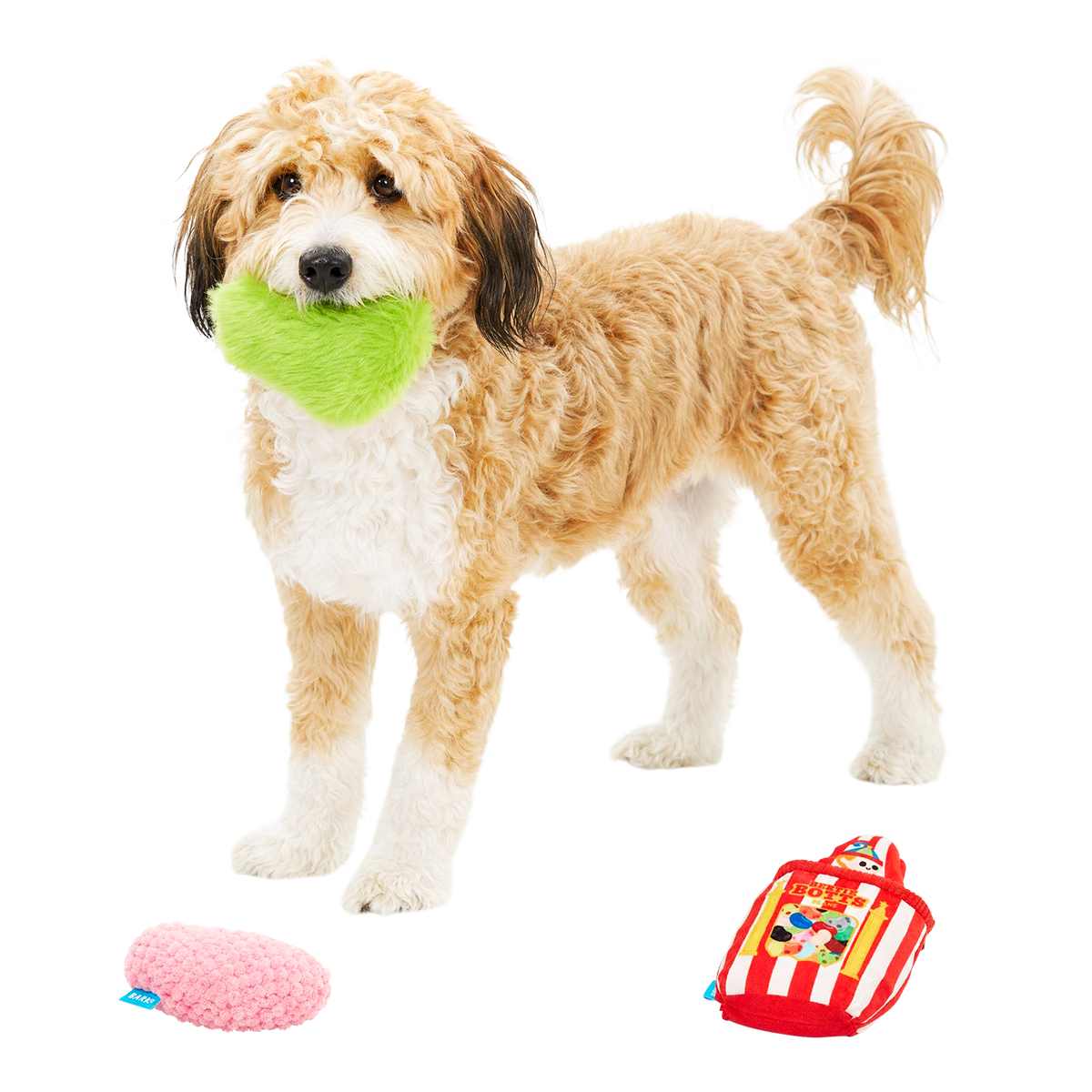 Bertie Bott's Every Flavor Beans™ Plush Multi-Part + Enrichment Dog Toy