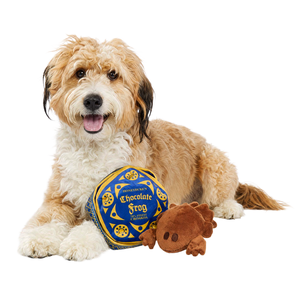 Honeydukes™ Chocolate Frog™ Plush Multi-Part + Enrichment Dog Toy