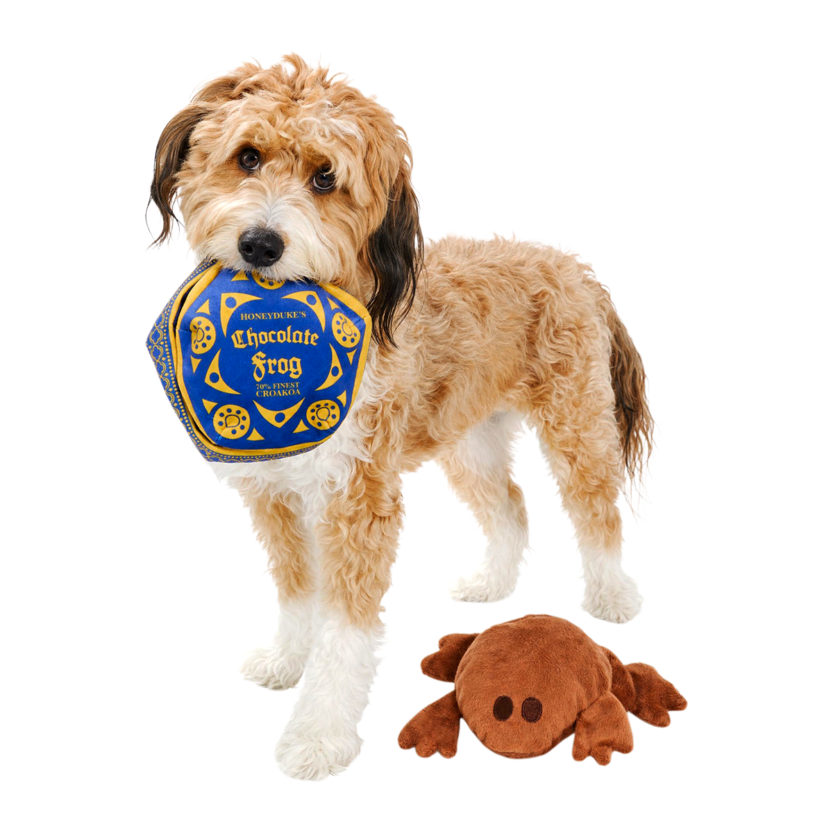 Honeydukes™ Chocolate Frog™ Plush Multi-Part + Enrichment Dog Toy