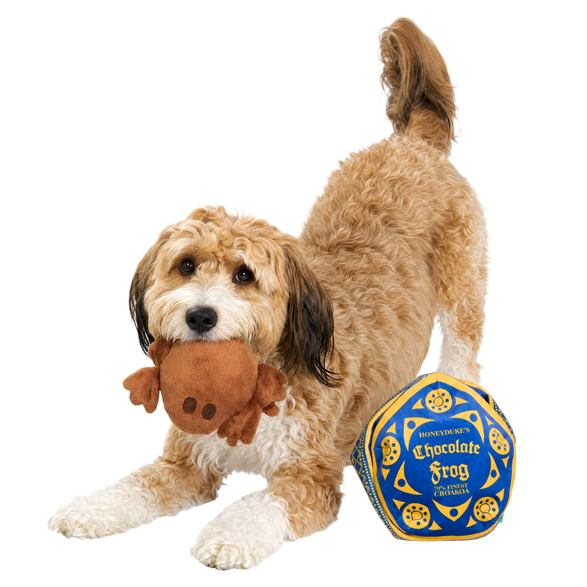 Honeydukes™ Chocolate Frog™ Plush Multi-Part + Enrichment Dog Toy