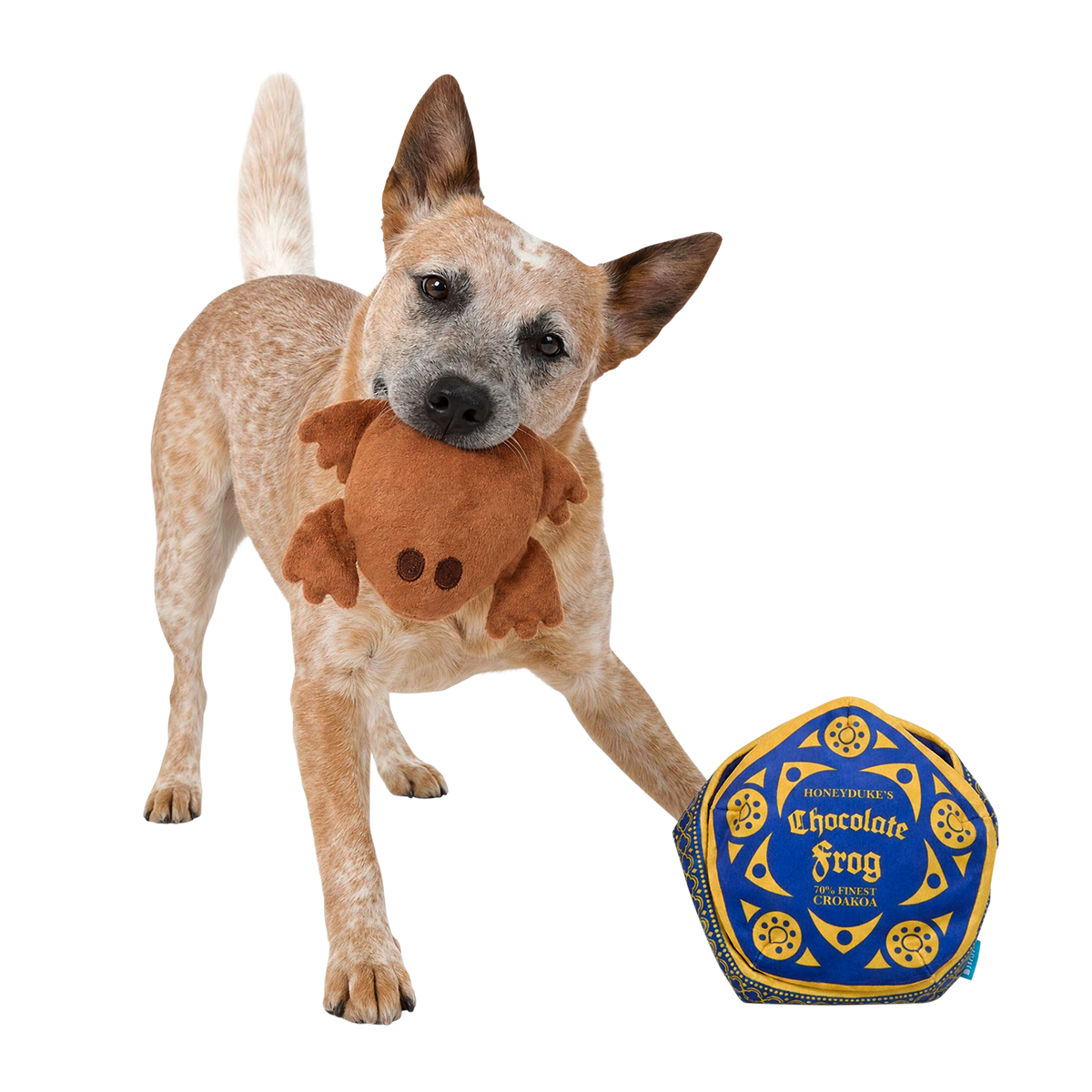 Honeydukes™ Chocolate Frog™ Plush Multi-Part + Enrichment Dog Toy
