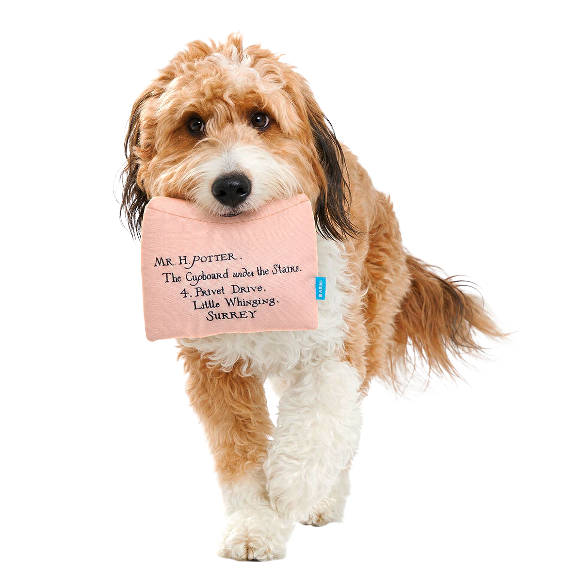 Hogwarts™ Acceptance Letter Plush Enrichment Dog Toy