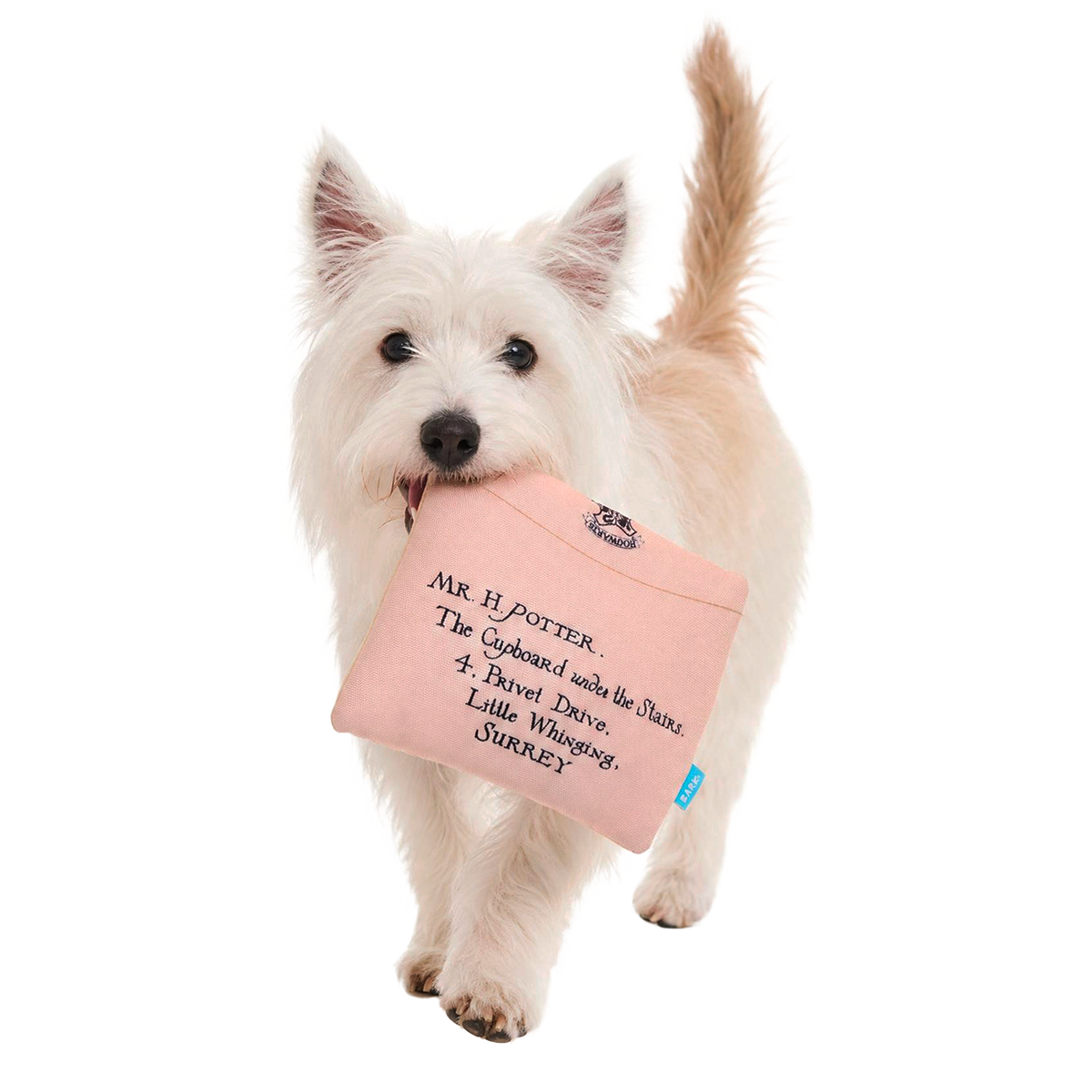 Hogwarts™ Acceptance Letter Plush Enrichment Dog Toy