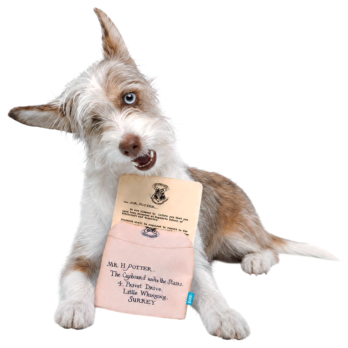 Hogwarts™ Acceptance Letter Plush Enrichment Dog Toy