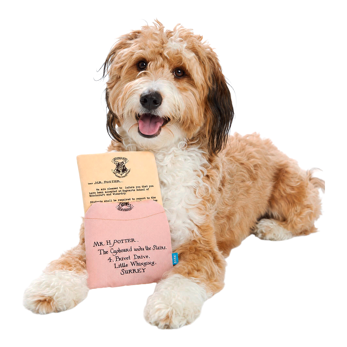 Hogwarts™ Acceptance Letter Plush Enrichment Dog Toy